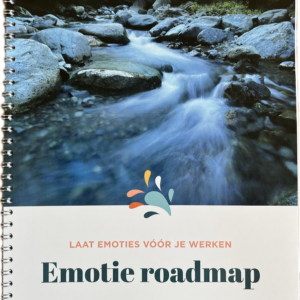 Emotie Roadmap Live groep 2026