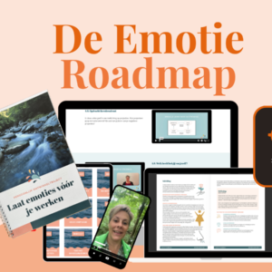 Emotie Roadmap Do it yourself - Webinaraanbod