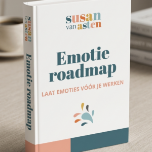 E-book Emotie Roadmap